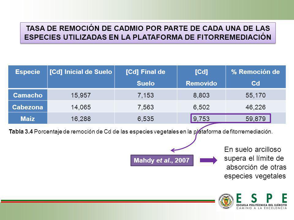 TASA DE REMOCIÓN DE CADMIO POR PARTE DE CADA UNA DE LAS