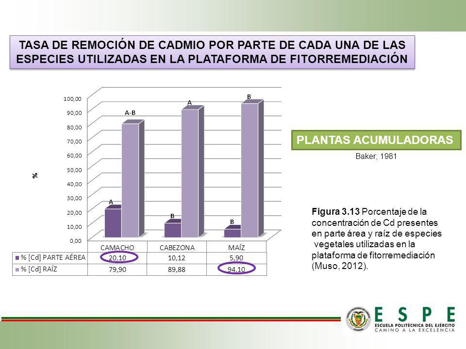 TASA DE REMOCIÓN DE CADMIO POR PARTE DE CADA UNA DE LAS
