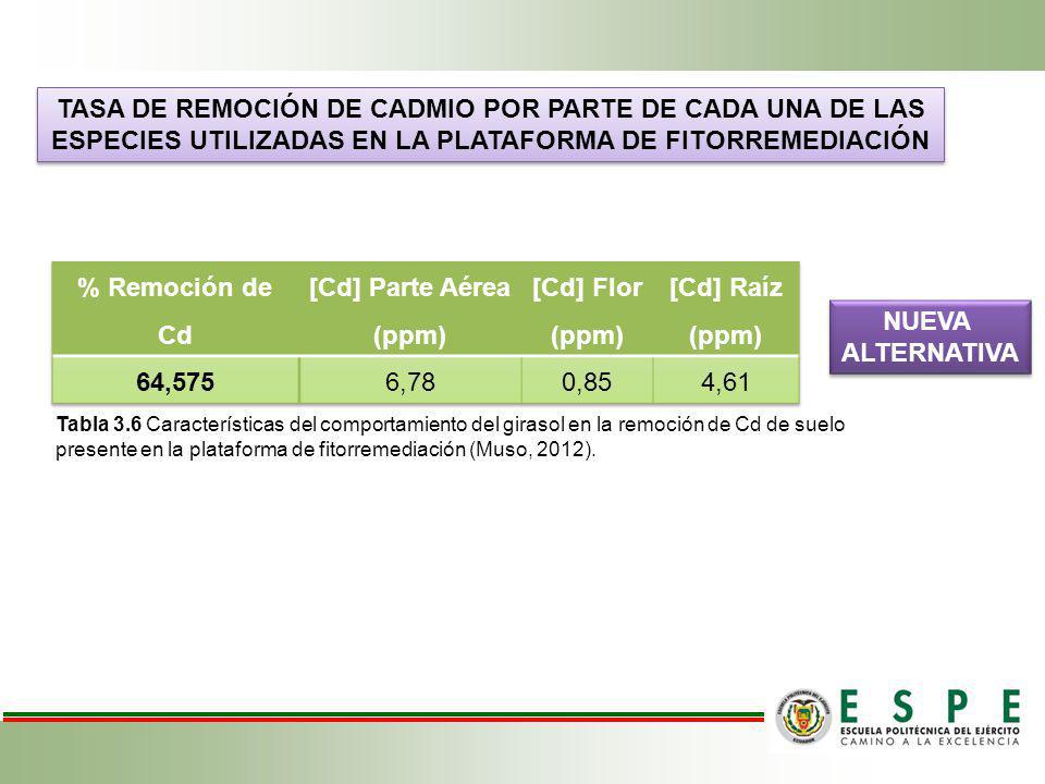 TASA DE REMOCIÓN DE CADMIO POR PARTE DE CADA UNA DE LAS