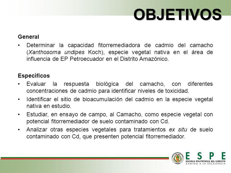OBJETIVOS General.