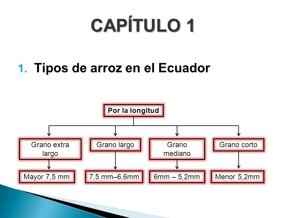 CAPÍTULO 1 Tipos de arroz en el Ecuador Mayor 7,5 mm 7,5 mm–6,6mm