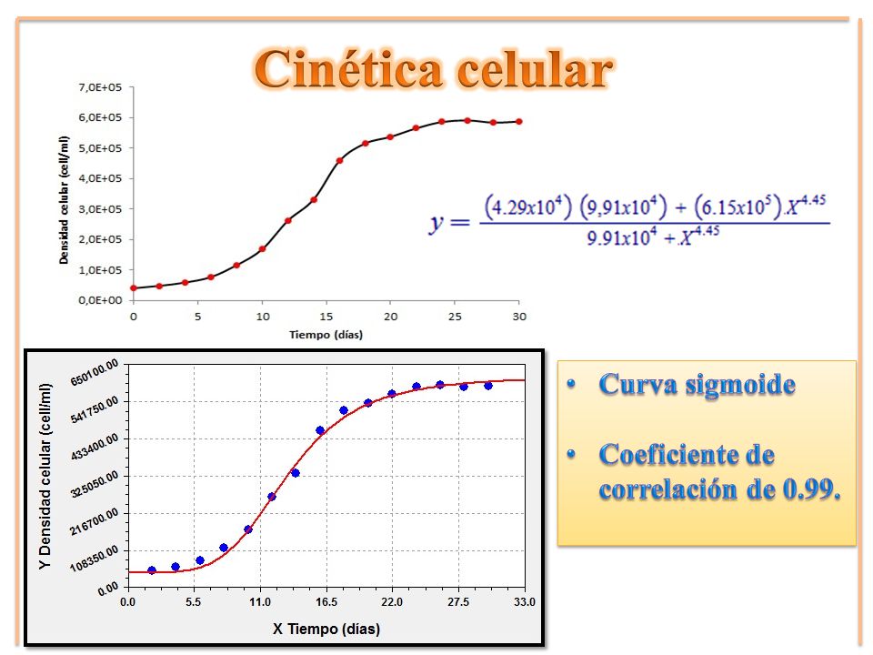 Cinética celular Curva sigmoide Coeficiente de correlación de 0.99.
