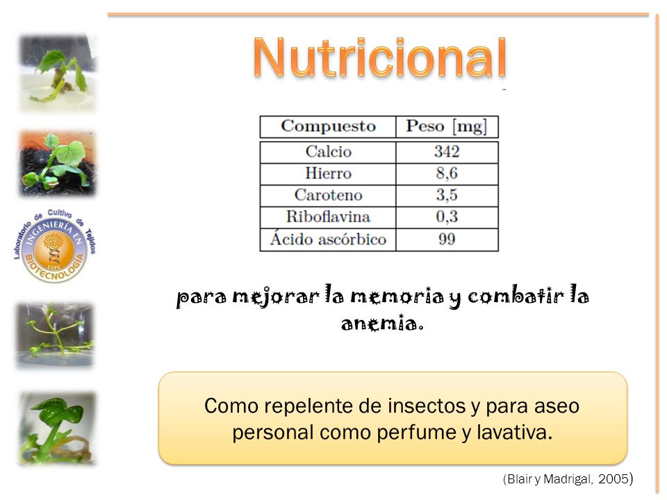 para mejorar la memoria y combatir la anemia.