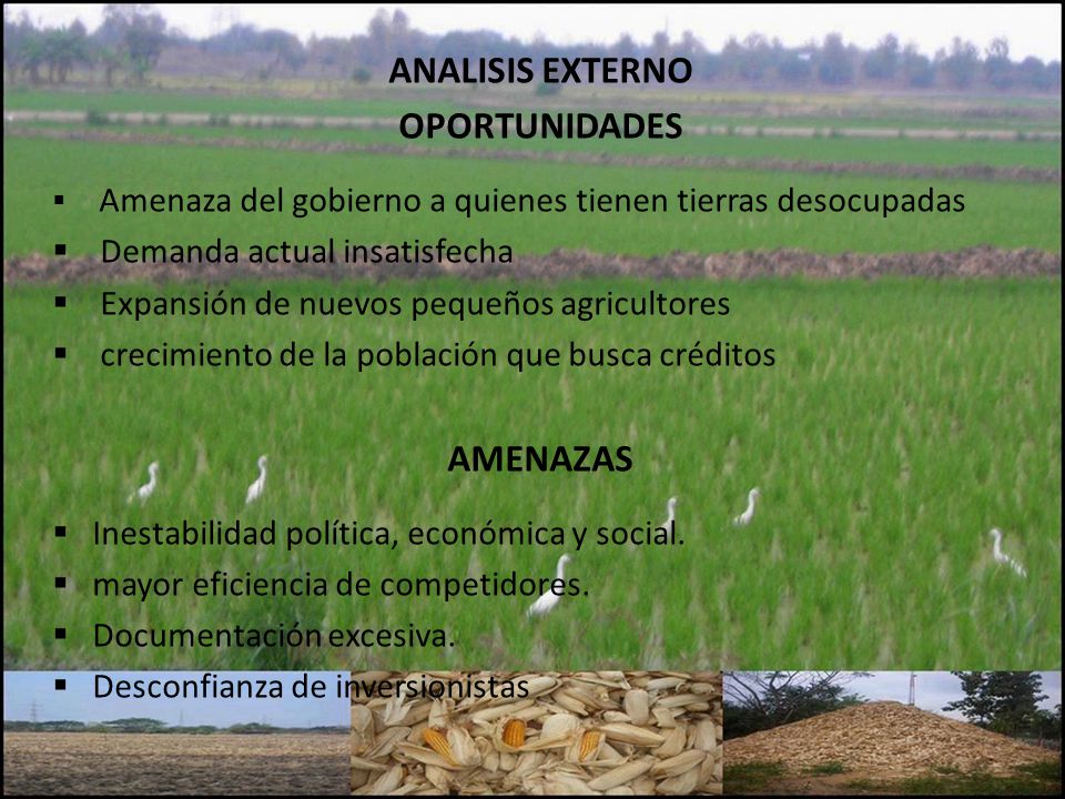 ANALISIS EXTERNO OPORTUNIDADES AMENAZAS
