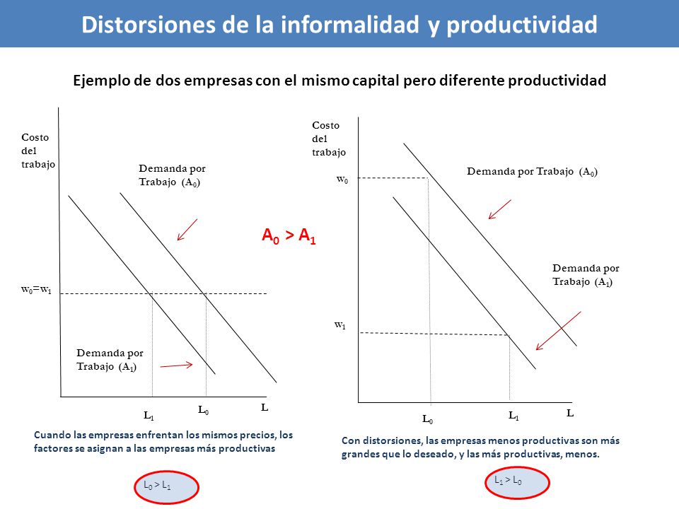 Distorsiones de la informalidad y productividad