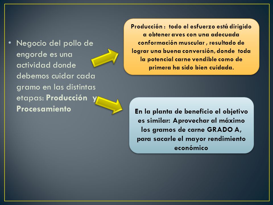 Producción : todo el esfuerzo está dirigido a obtener aves con una adecuada conformación muscular , resultado de lograr una buena conversión, donde toda la potencial carne vendible como de primera ha sido bien cuidada.