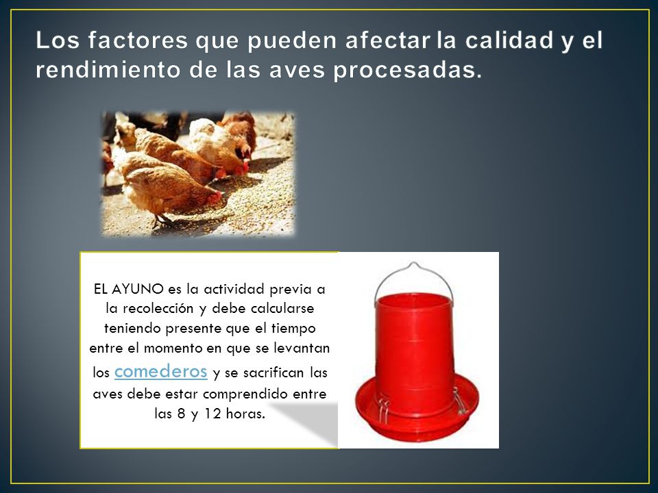 Los factores que pueden afectar la calidad y el rendimiento de las aves procesadas.