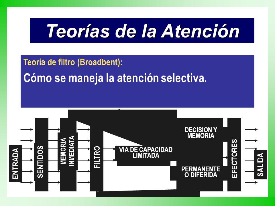 Teorías de la Atención Cómo se maneja la atención selectiva.