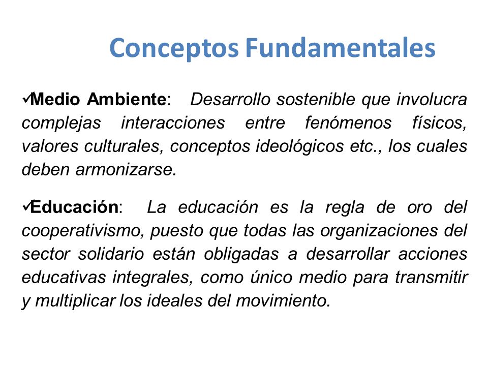Conceptos Fundamentales