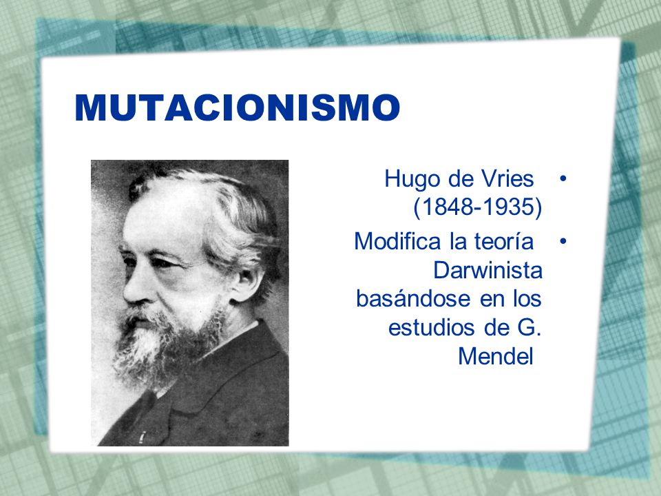 MUTACIONISMO Hugo de Vries ( )