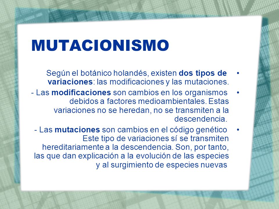MUTACIONISMO Según el botánico holandés, existen dos tipos de variaciones: las modificaciones y las mutaciones.