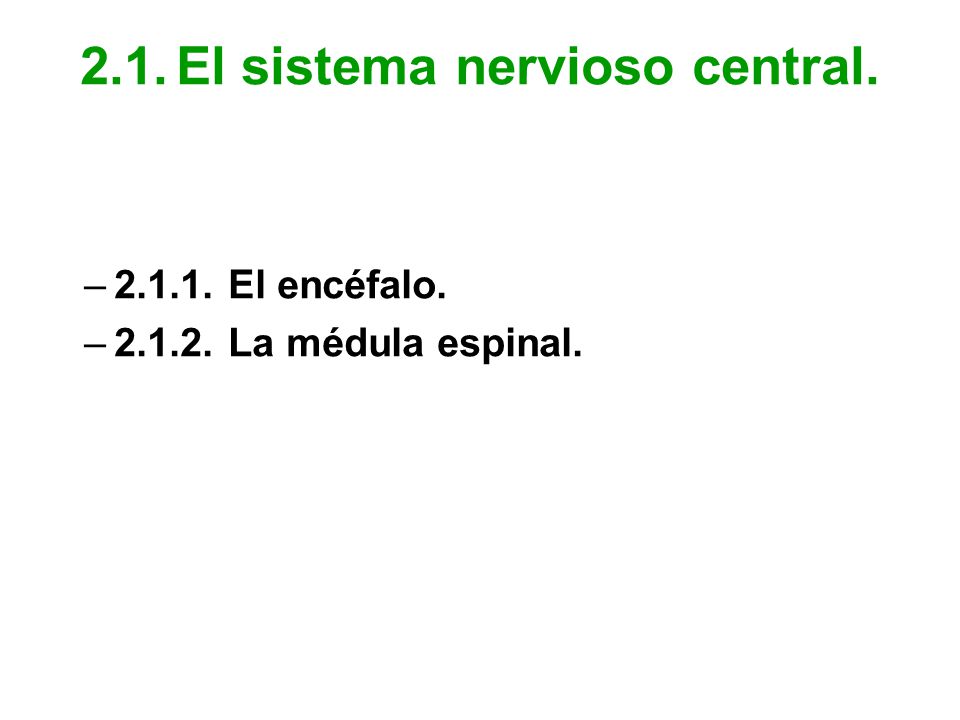 2.1. El sistema nervioso central.