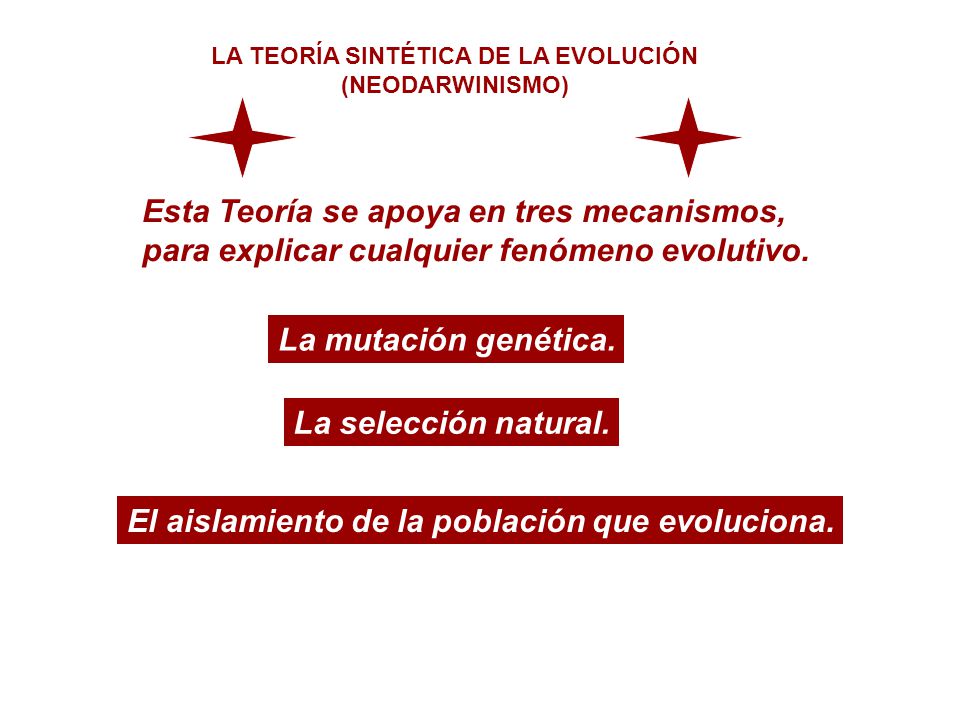 LA TEORÍA SINTÉTICA DE LA EVOLUCIÓN