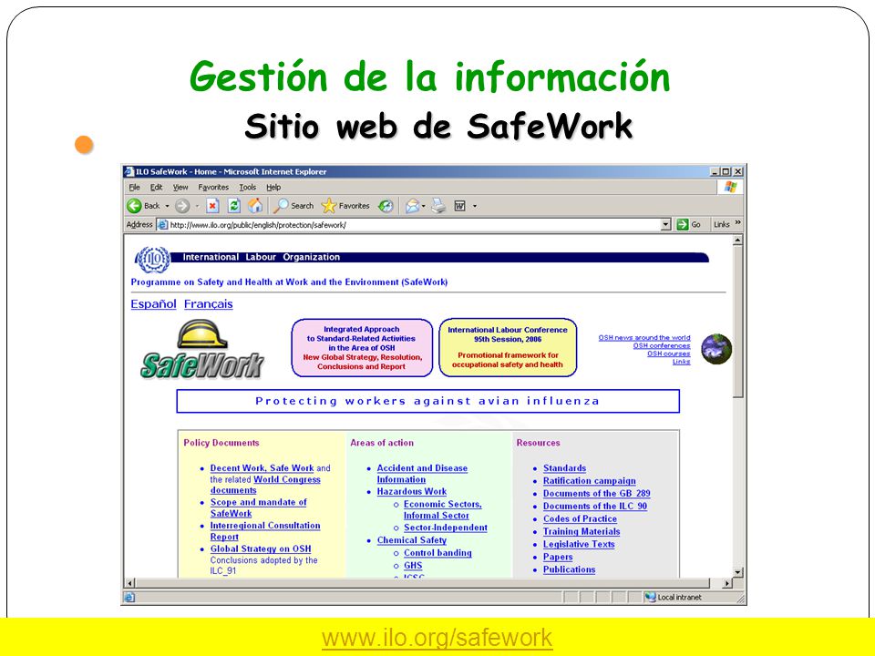 Gestión de la información Sitio web de SafeWork
