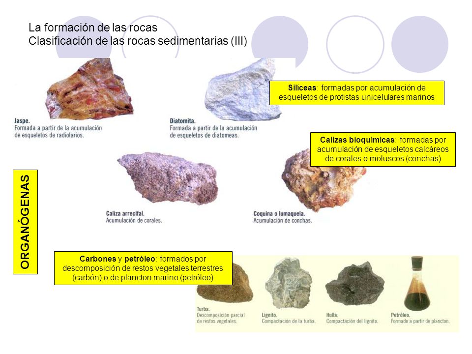 La formación de las rocas Clasificación de las rocas sedimentarias (III)