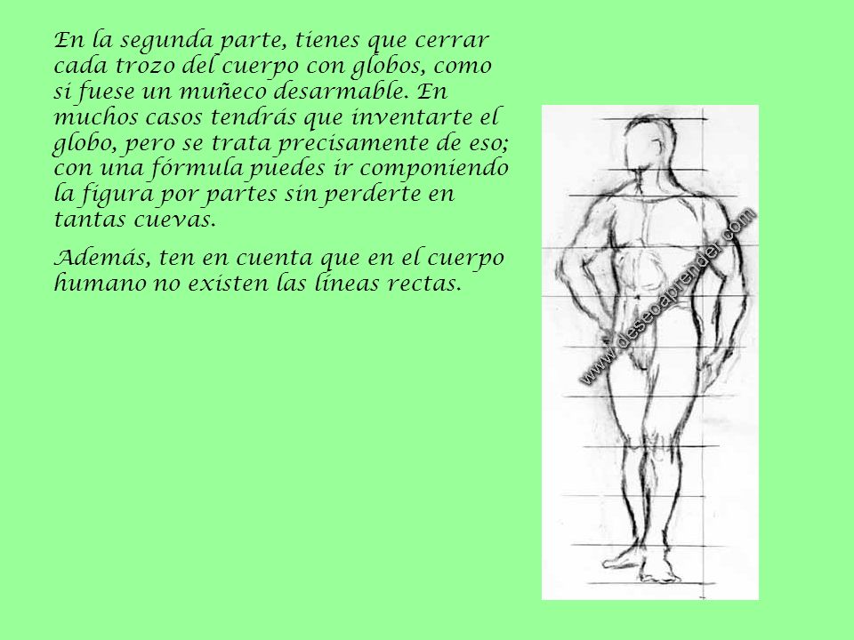 En la segunda parte, tienes que cerrar cada trozo del cuerpo con globos, como si fuese un muñeco desarmable. En muchos casos tendrás que inventarte el globo, pero se trata precisamente de eso; con una fórmula puedes ir componiendo la figura por partes sin perderte en tantas cuevas.