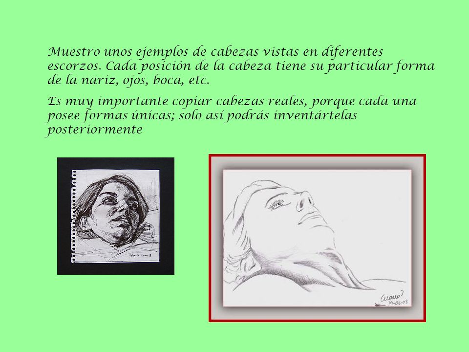 Muestro unos ejemplos de cabezas vistas en diferentes escorzos