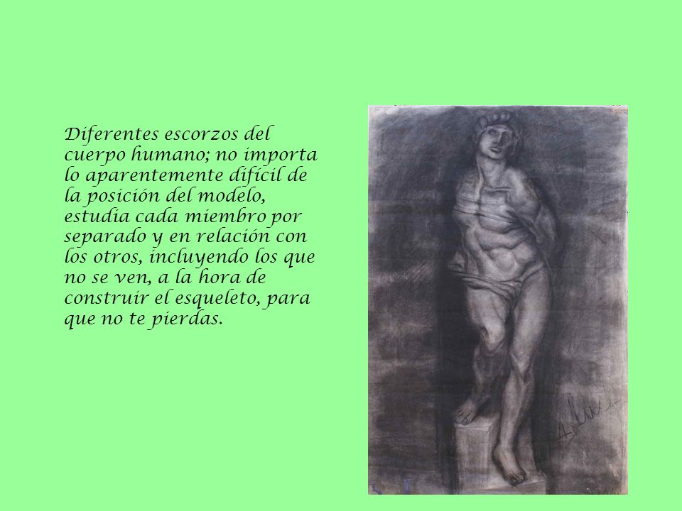 Diferentes escorzos del cuerpo humano; no importa lo aparentemente difícil de la posición del modelo, estudia cada miembro por separado y en relación con los otros, incluyendo los que no se ven, a la hora de construir el esqueleto, para que no te pierdas.