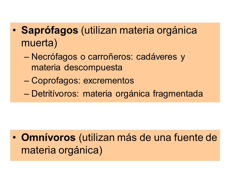 Saprófagos (utilizan materia orgánica muerta)