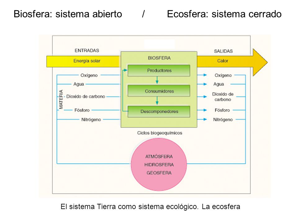 Biosfera: sistema abierto / Ecosfera: sistema cerrado