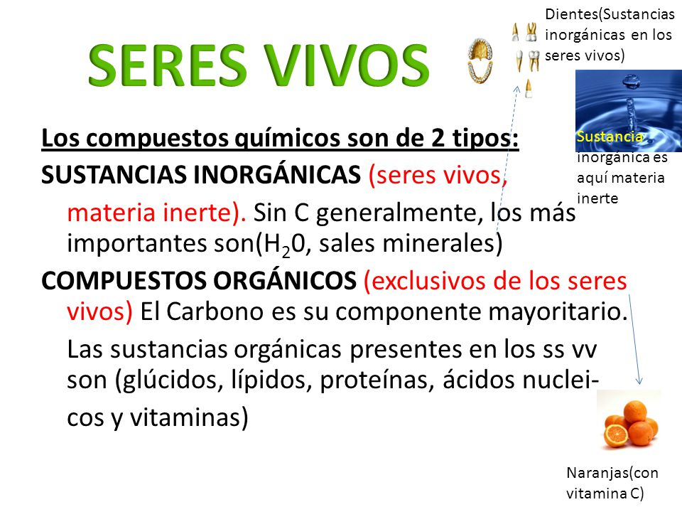 SERES VIVOS Los compuestos químicos son de 2 tipos: