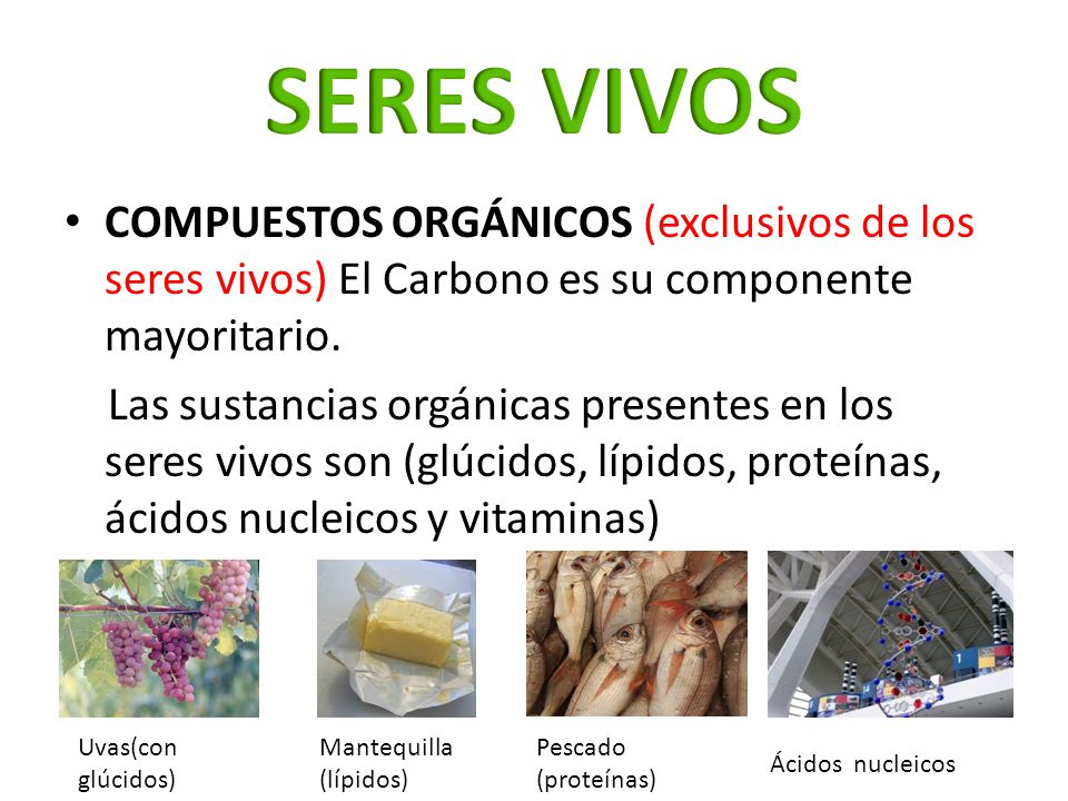 SERES VIVOS COMPUESTOS ORGÁNICOS (exclusivos de los seres vivos) El Carbono es su componente mayoritario.