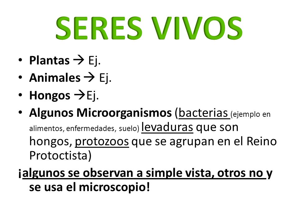 SERES VIVOS Plantas  Ej. Animales  Ej. Hongos Ej.