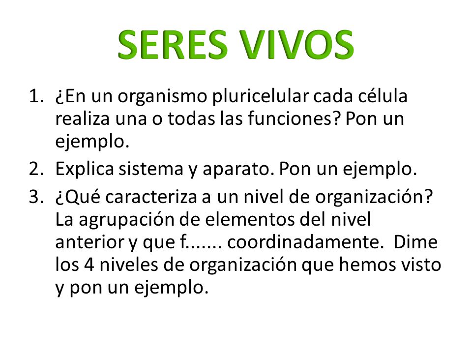 SERES VIVOS ¿En un organismo pluricelular cada célula realiza una o todas las funciones Pon un ejemplo.