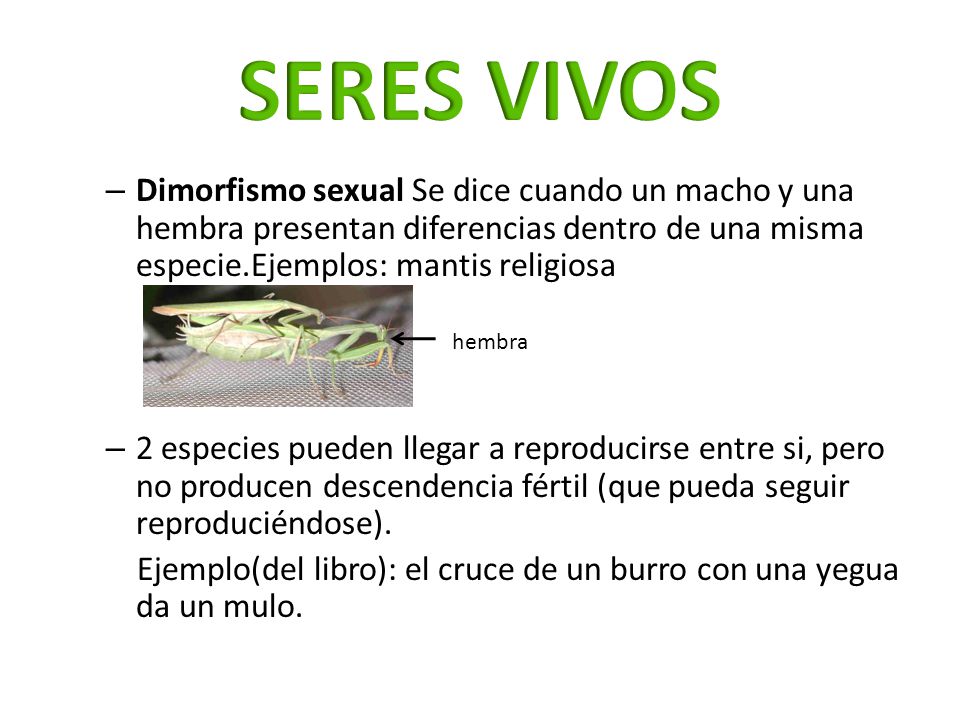 SERES VIVOS Dimorfismo sexual Se dice cuando un macho y una hembra presentan diferencias dentro de una misma especie.Ejemplos: mantis religiosa.