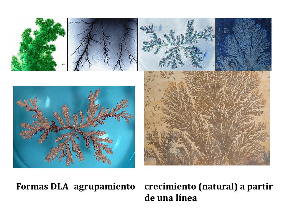 Formas DLA agrupamiento crecimiento (natural) a partir de una línea
