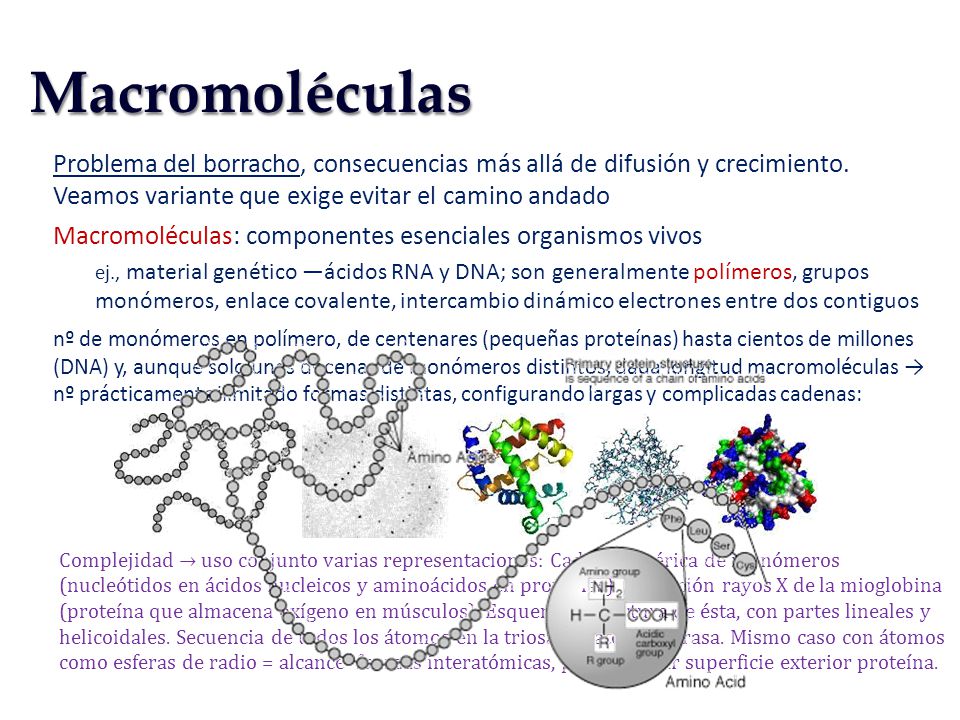 Macromoléculas Problema del borracho, consecuencias más allá de difusión y crecimiento. Veamos variante que exige evitar el camino andado.