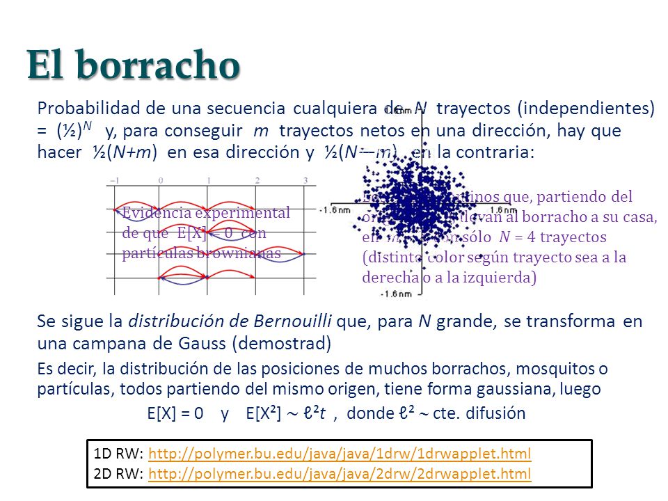 E[X] = 0 y E[X²] ∼ ℓ²t , donde ℓ²  cte. difusión