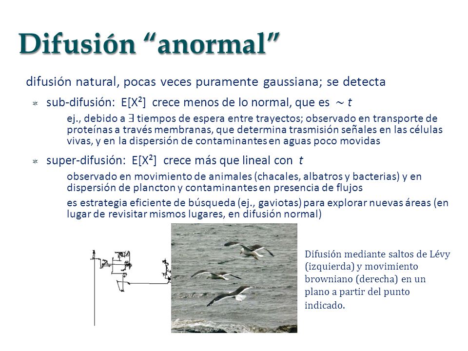 Difusión anormal difusión natural, pocas veces puramente gaussiana; se detecta. sub-difusión: E[X²] crece menos de lo normal, que es ∼ t.