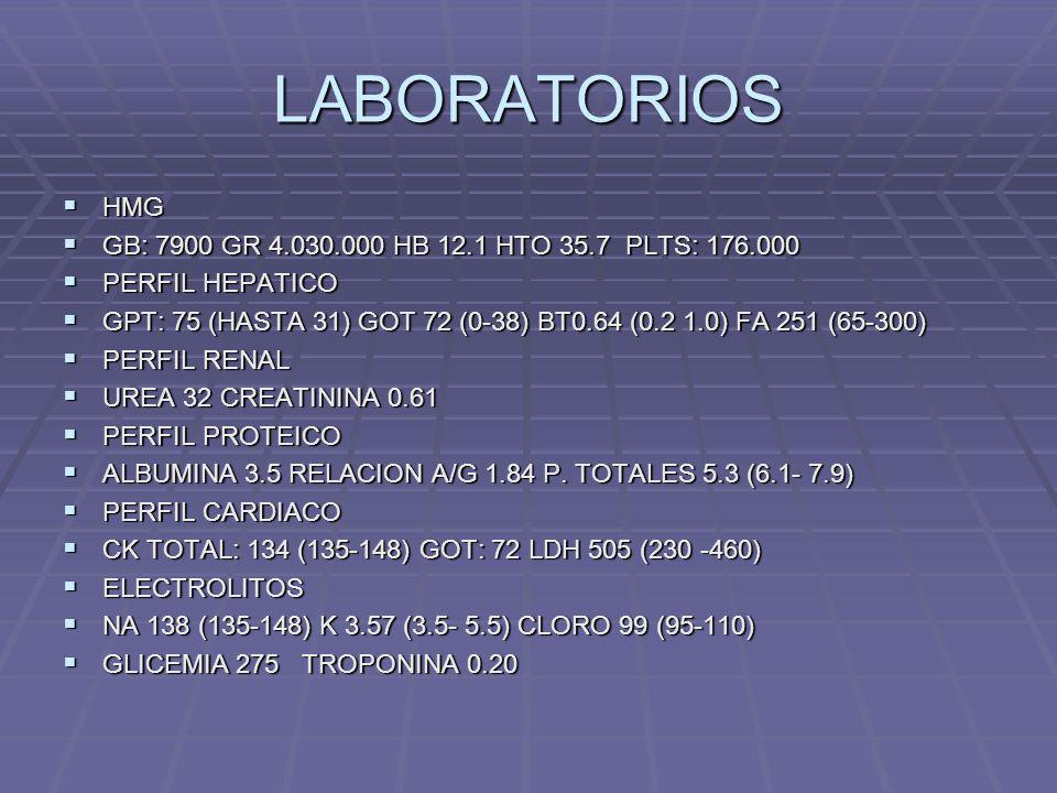LABORATORIOS HMG GB: 7900 GR HB 12.1 HTO 35.7 PLTS: