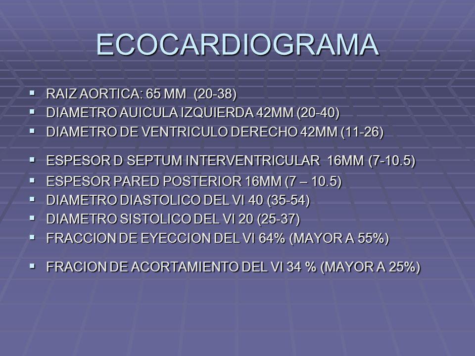 ECOCARDIOGRAMA RAIZ AORTICA: 65 MM (20-38)