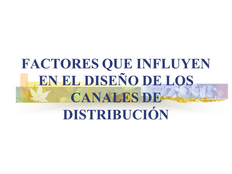 FACTORES QUE INFLUYEN EN EL DISEÑO DE LOS CANALES DE DISTRIBUCIÓN