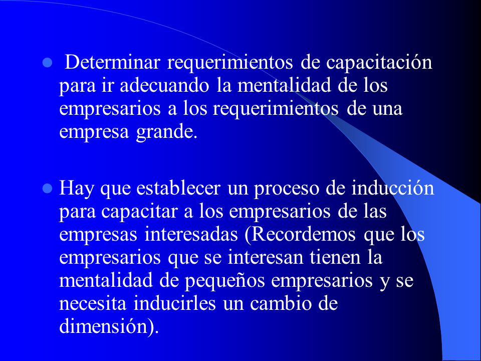 Determinar requerimientos de capacitación para ir adecuando la mentalidad de los empresarios a los requerimientos de una empresa grande.