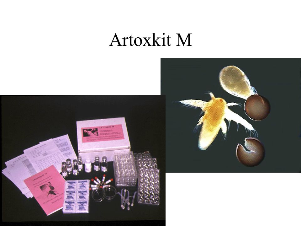 Artoxkit M