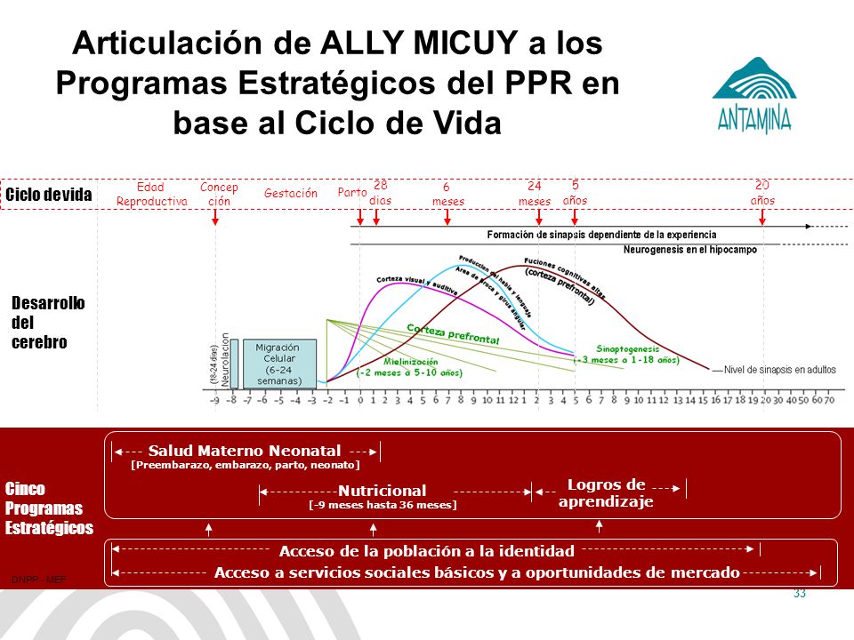 Articulación de ALLY MICUY a los Programas Estratégicos del PPR en base al Ciclo de Vida