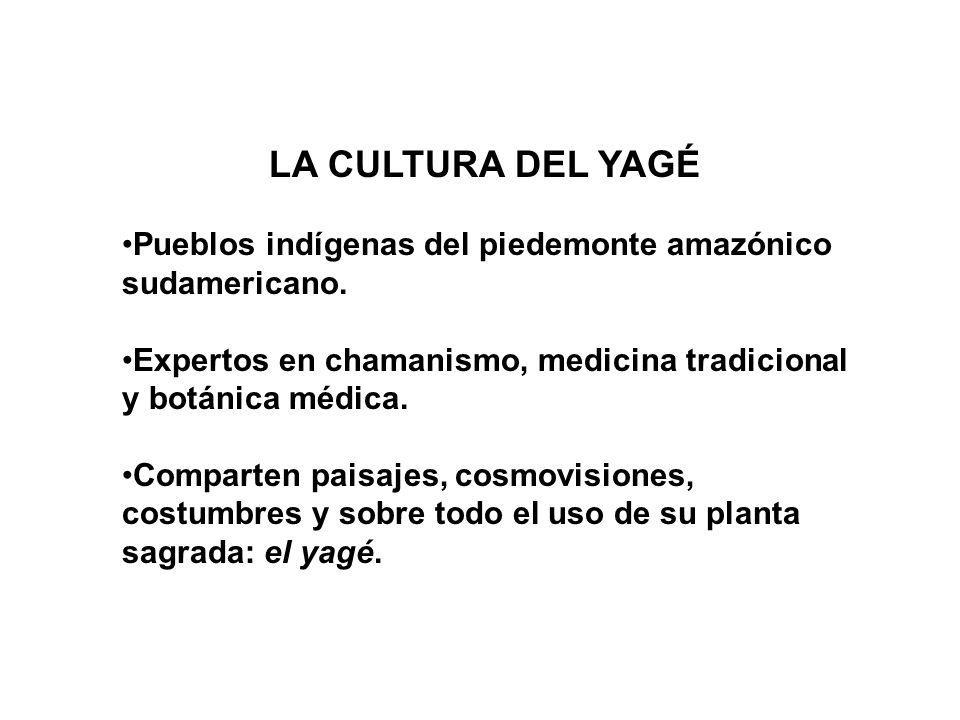 LA CULTURA DEL YAGÉ Pueblos indígenas del piedemonte amazónico sudamericano. Expertos en chamanismo, medicina tradicional y botánica médica.