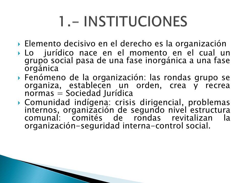 1.- INSTITUCIONES Elemento decisivo en el derecho es la organización