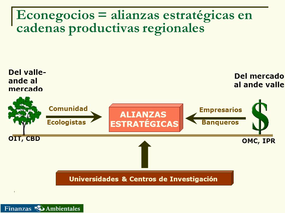 Econegocios = alianzas estratégicas en cadenas productivas regionales