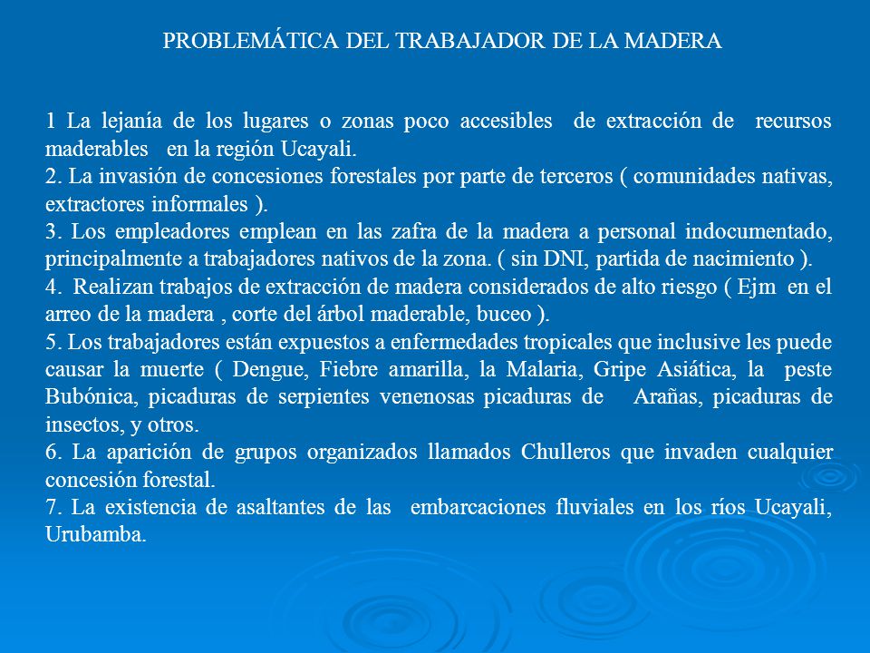 PROBLEMÁTICA DEL TRABAJADOR DE LA MADERA