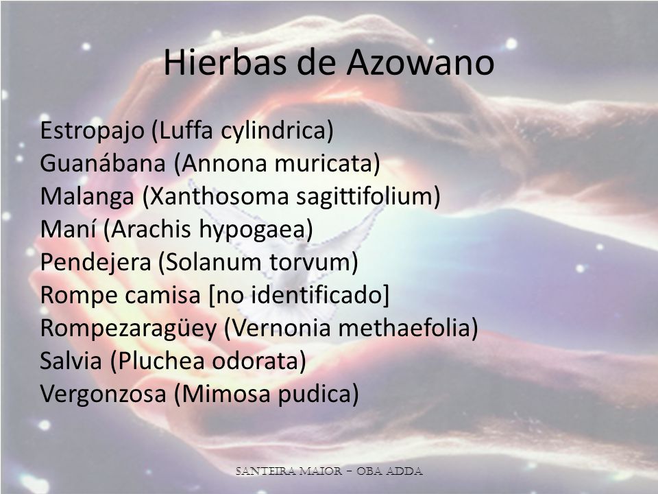 Santeira Maior - OBA ADDA
