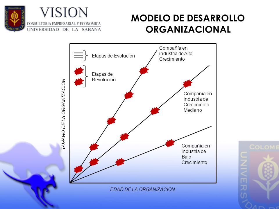 MODELO DE DESARROLLO ORGANIZACIONAL