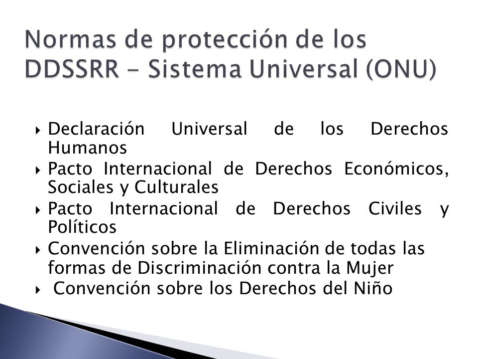 Normas de protección de los DDSSRR - Sistema Universal (ONU)