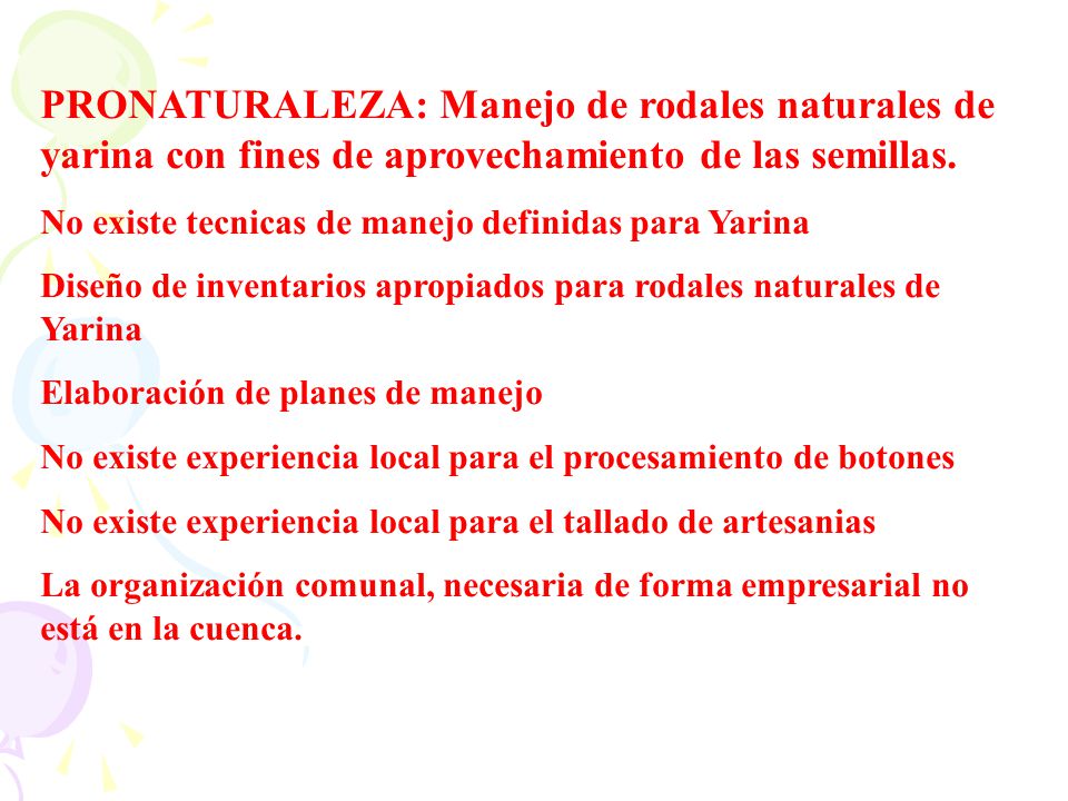PRONATURALEZA: Manejo de rodales naturales de yarina con fines de aprovechamiento de las semillas.