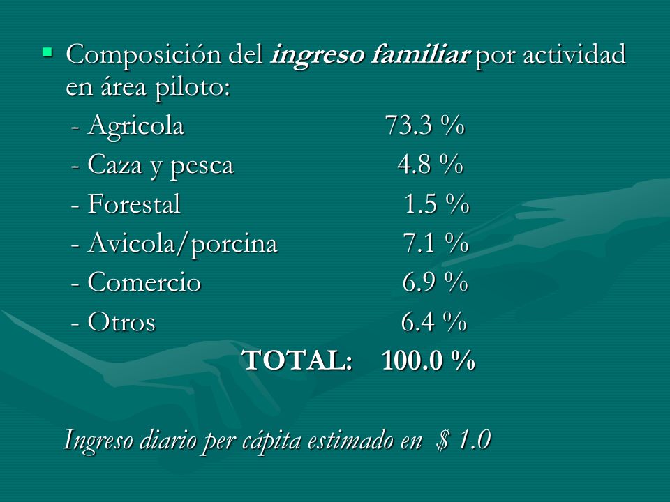 Composición del ingreso familiar por actividad en área piloto: