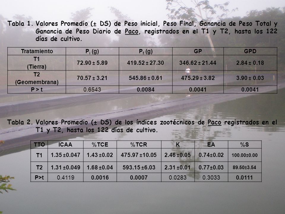 Tabla 1. Valores Promedio (± DS) de Peso inicial, Peso Final, Ganancia de Peso Total y Ganancia de Peso Diario de Paco, registrados en el T1 y T2, hasta los 122 días de cultivo.