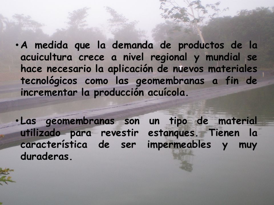 A medida que la demanda de productos de la acuicultura crece a nivel regional y mundial se hace necesario la aplicación de nuevos materiales tecnológicos como las geomembranas a fin de incrementar la producción acuícola.